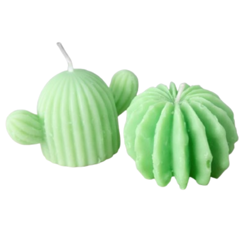 Cactus de cera – Decoración natural y original