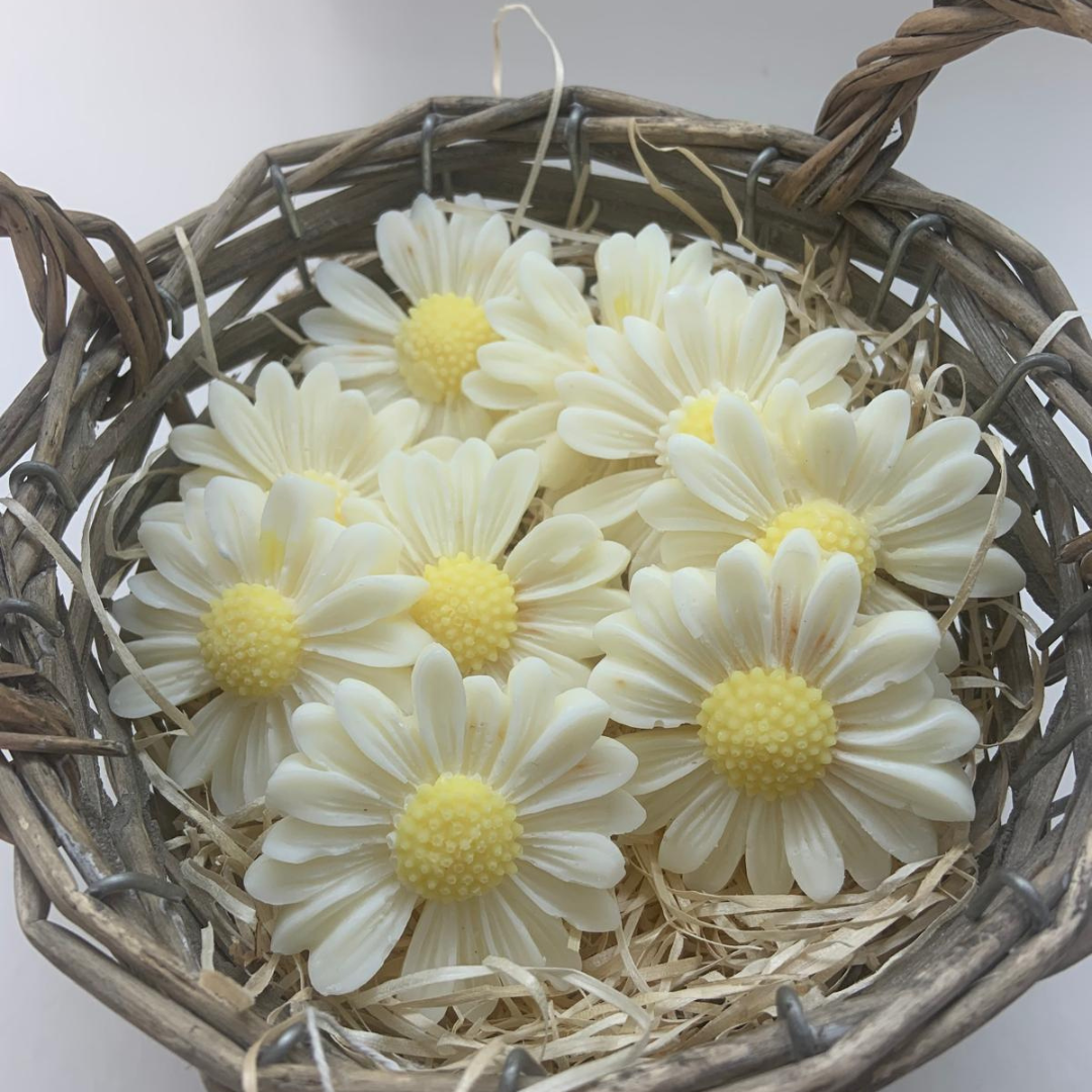 Ideas de regalo