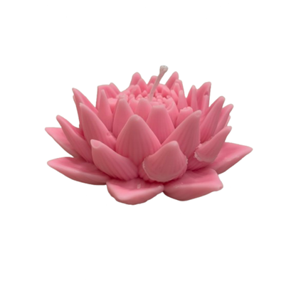 Figuras aromáticas