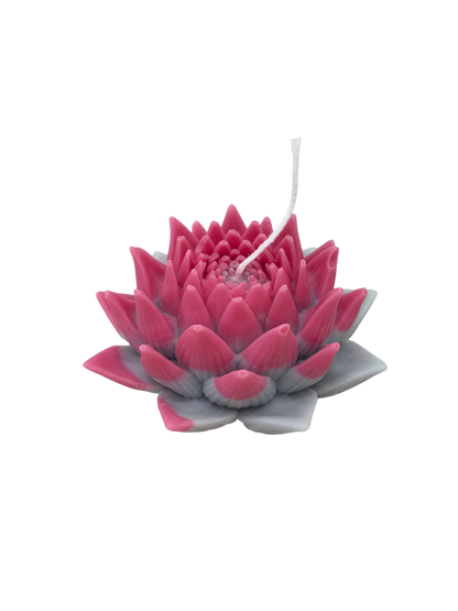 Figuras aromáticas