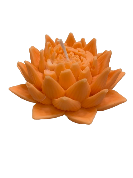 Figuras aromáticas