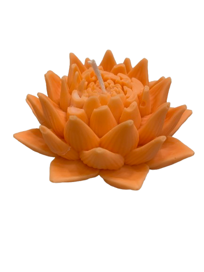 Figuras aromáticas