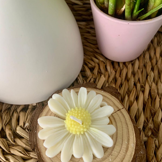 Wax Melts margaritas